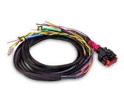 Wakespeed WS500 Pro Lichtmaschinen - Regler WS500 Kabelbaum Typ N